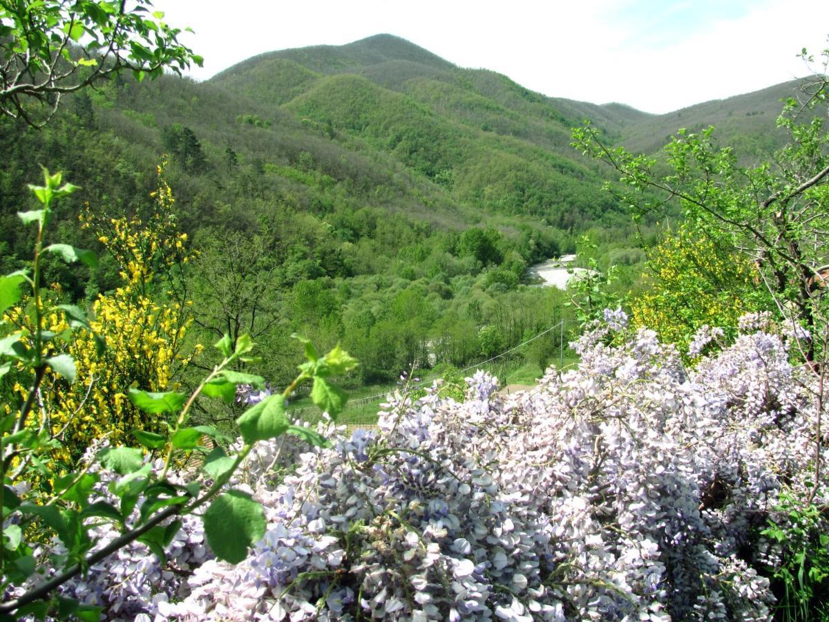 Agriturismo Il Giglio E La Rosa Villa Montale  Bagian luar foto